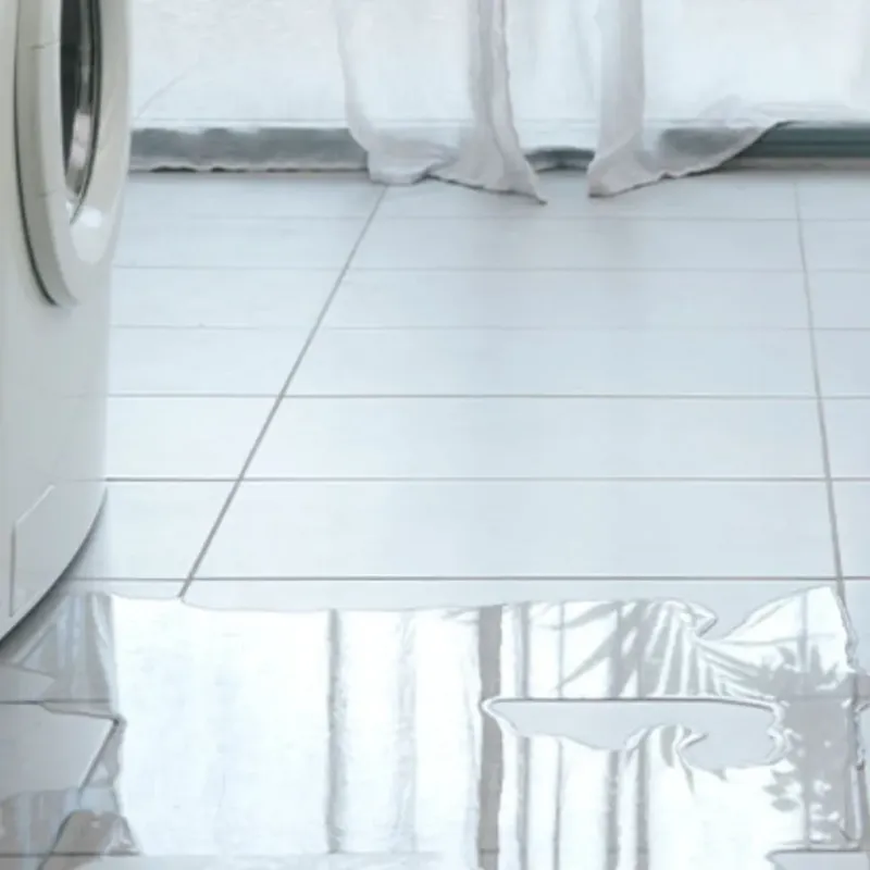 Appliance Leak Cleanup in Lahaina, HI